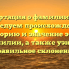 Диссертация о фамилии Дица: исследуем происхождение, историю и значение этой фамилии, а также узнаем правильное склонение