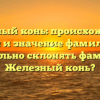 Железный конь: происхождение, история и значение фамилии. Как правильно склонять фамилию Железный конь?