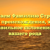 Изучаем Фамилию Строгая: история происхождения, значение и правильное склонение для вашего рода