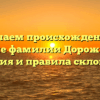 Изучаем происхождение и значение фамилии Дорожинский: история и правила склонения