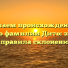 Изучаем происхождение и историю фамилии Дито: значение и правила склонения!