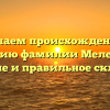 Изучаем происхождение и историю фамилии Меледина: значение и правильное склонение