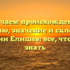 Изучаем происхождение, историю, значение и склонение фамилии Елишев: все, что нужно знать