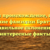 Изучаем происхождение, историю и значение фамилии Братушкина: правильное склонение и интересные факты