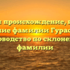 Изучаем происхождение, историю и значение фамилии Гурас: полное руководство по склонению фамилии