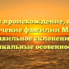 Изучаем происхождение, историю и значение фамилии Маляр: правильное склонение и уникальные особенности