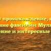 Изучаем происхождение, историю и значение фамилии Муллаярова: склонение и интересные факты