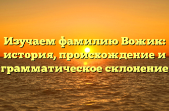 Изучаем фамилию Вожик: история, происхождение и грамматическое склонение