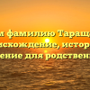 Изучаем фамилию Таращанский: происхождение, история и склонение для родственников