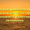 Изучаем фамилию Цык: происхождение, история и значимость в контексте склонения.