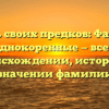 Искать своих предков: Фамилия Однокоренные — все о происхождении, истории и значении фамилии