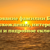 Исследование фамилии Бельчук: происхождение, интересные факты и подробное склонение
