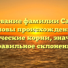 Исследование фамилии Сартания: основы происхождения, исторические корни, значения и правильное склонение