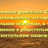 Исследование фамилии Солоной: происхождение, история и уникальное значение, а также склонение в родительном и винительном падежах