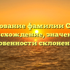 Исследование фамилии Спербер: происхождение, значение и особенности склонения