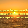 Исследуем Фамилию Тофан: происхождение, история, значение и правильное склонение.