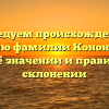 Исследуем происхождение и историю фамилии Кононыхина: всё о её значении и правильном склонении