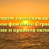 Исследуем происхождение и историю фамилии Странадко: значение и правила склонения.