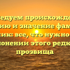 Исследуем происхождение, историю и значение фамилии Мулярчик: все, что нужно знать о склонении этого редкого прозвища