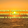 Исследуем происхождение фамилии Санна: история, значение и правила склонения