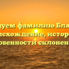 Исследуем фамилию Бляблина: происхождение, история и особенности склонения