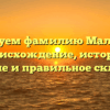 Исследуем фамилию Малашина: происхождение, история, значение и правильное склонение