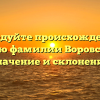 Исследуйте происхождение и историю фамилии Воровского, ее значение и склонение