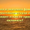 История и значения фамилии Друшляков: откуда она происходит и как ее правильно склонять?