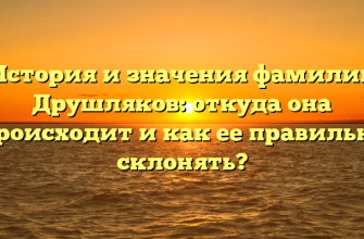 История и значения фамилии Друшляков: откуда она происходит и как ее правильно склонять?