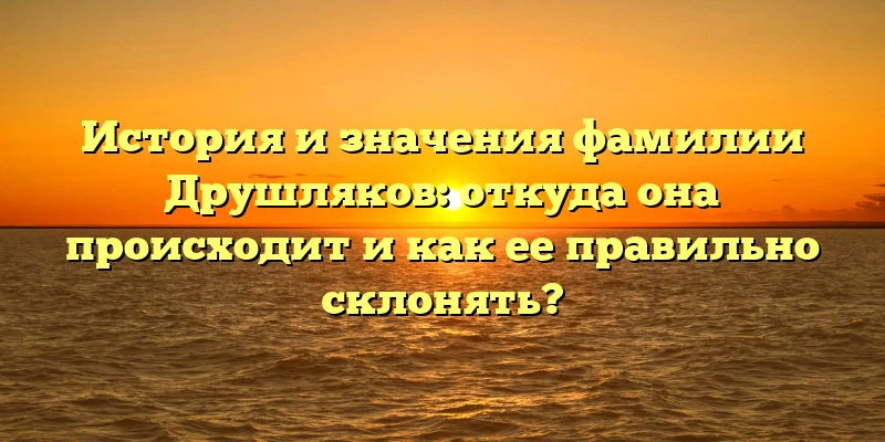 История и значения фамилии Друшляков: откуда она происходит и как ее правильно склонять? История и значения фамилии Друшляков: откуда она происходит и как ее правильно склонять?