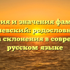 История и значения фамилии Слоневский: родословная и правила склонения в современном русском языке