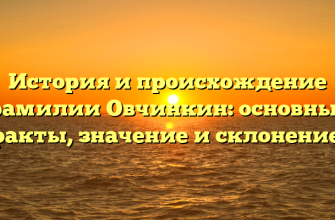 История и происхождение фамилии Овчинкин: основные факты, значение и склонение.