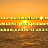 История и склонение фамилии Амшей: раскрываем происхождение и значение