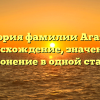 История фамилии Агарин: происхождение, значения и склонение в одной статье