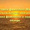 История фамилии Мадэ: происхождение, значения и склонения фамилии в подробном обзоре
