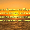 История фамилии Маросеев: происхождение, значение и правила склонения для генеалогических исследований