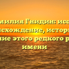 Моя фамилия Гнидин: исследуем происхождение, историю и склонение этого редкого русского имени