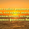 Откройте тайны родового дерева: Все, что нужно знать о происхождении, истории и склонении фамилии Вапник
