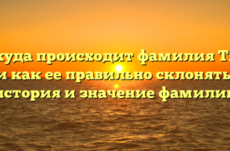 Откуда происходит фамилия Тяка и как ее правильно склонять: история и значение фамилии