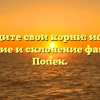 Отследите свои корни: история, значение и склонение фамилии Попек.