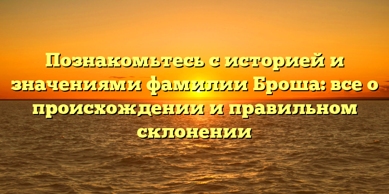 Познакомьтесь с историей и значениями фамилии Броша: все о происхождении и правильном склонении