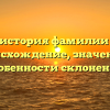 Полная история фамилии Грухин: происхождение, значение и особенности склонения