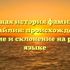 Полная история фамилии Михайлин: происхождение, значение и склонение на русском языке