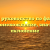 Полное руководство по фамилии Аев: происхождение, значение и склонение