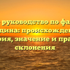 Полное руководство по фамилии Бендина: происхождение, история, значение и правила склонения