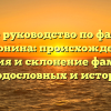 Полное руководство по фамилии Махонина: происхождение, история и склонение фамилии для родословных и историков.