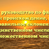 Полное руководство по фамилии Могунов: происхождение, история и правильное склонение в единственном числе и множественном числе