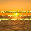 Полное руководство по фамилии Пацевич: история, происхождение и правильное склонение