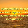 Полное руководство по фамилии Перепеченко: происхождение, история, значение и правильное склонение