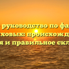 Полное руководство по фамилии Цириховых: происхождение, история и правильное склонение
